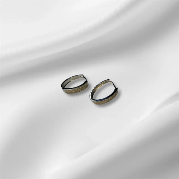 Stainless Steel and Zirconia Hoop Earrings - Elegant Style - Image 4